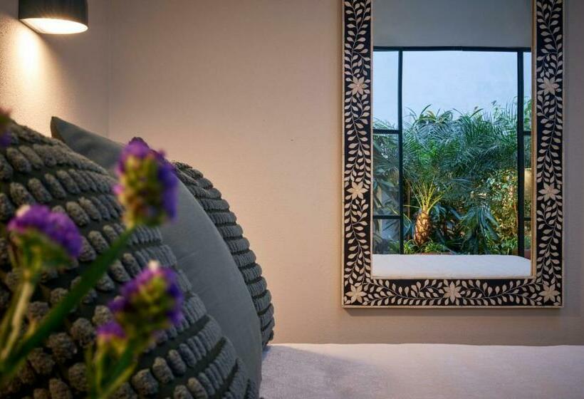 Right House   Indipendent In Characteristic Marina District