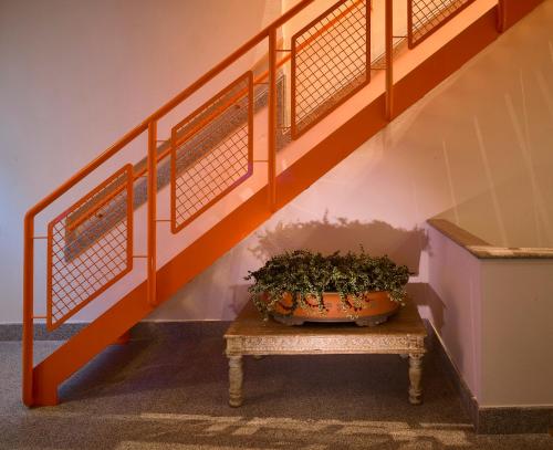 Right House   Indipendent In Characteristic Marina District