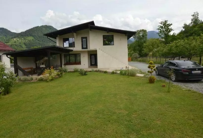 Vila Dario Borşa