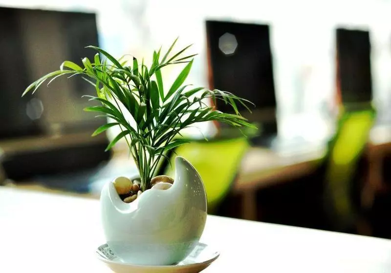 酒店 Free Line Youth Hostel Qingdao Zhanqiao Railway Station