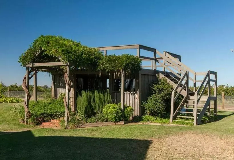 Nepeta Cataria Estate   Echuca Holiday Homes