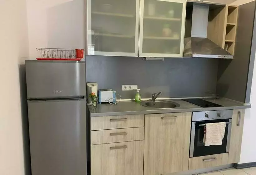 Apartment At St. Nicholas Complex   Max