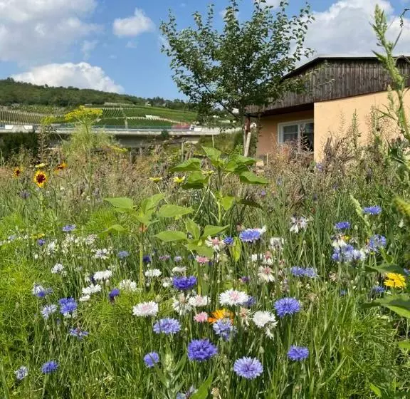 Ferienhaus Gutedel