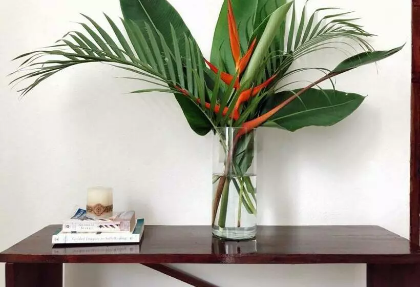 Luna De Jade Apartment