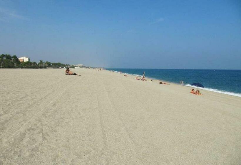 Bel Appart. 3 Mn Plage, Wifi 10 Min De Collioure