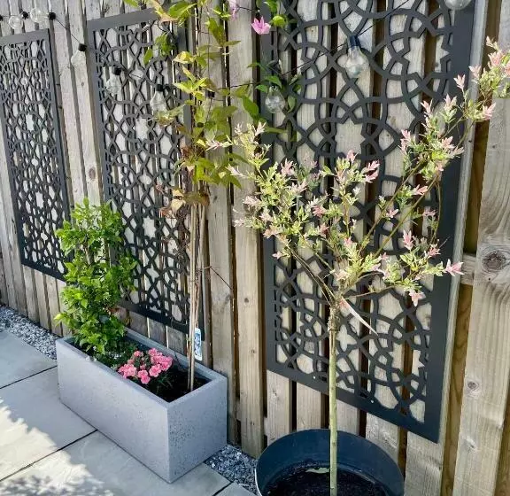 The Old Schoolhouse, Kinross