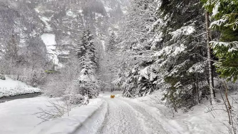 Büelbad   Relax Holiday Apartment