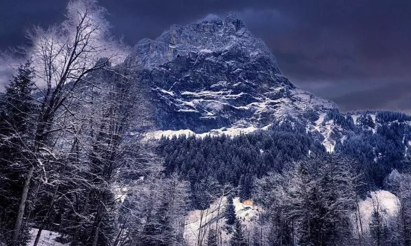 Büelbad   Relax Holiday Apartment