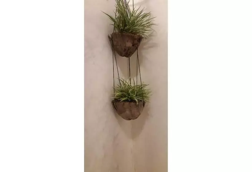 Apê Bossa Nova, Aconchego E Charme!