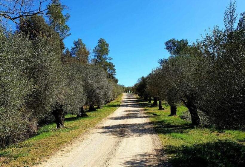 Casa Rural Con Jardín Privado