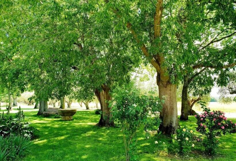 Casa Rural Con Jardín Privado