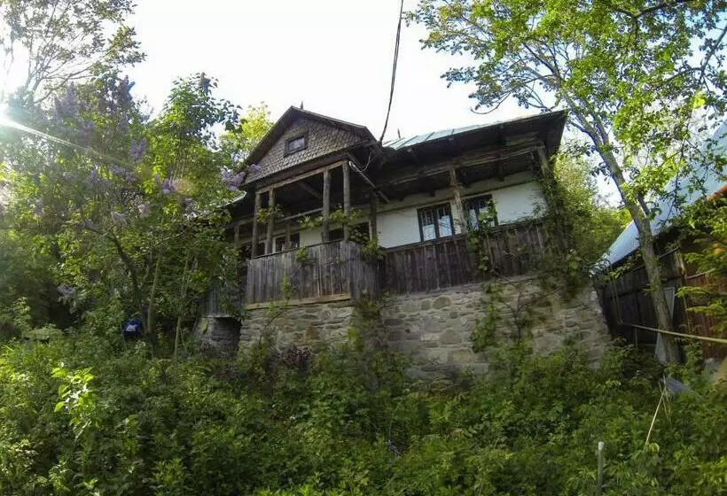 Casa Zmeura
