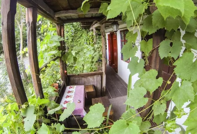 Casa Zmeura