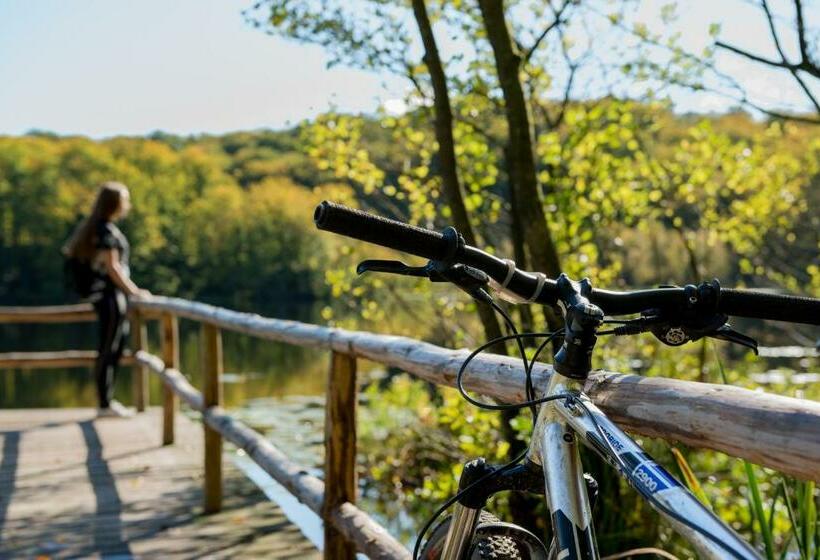 Villa Lotsenhäuser Rügen   Luxus Ferienhaus   3 Schlafzimmer   Sauna   Dachterrasse Mit Boddenblick