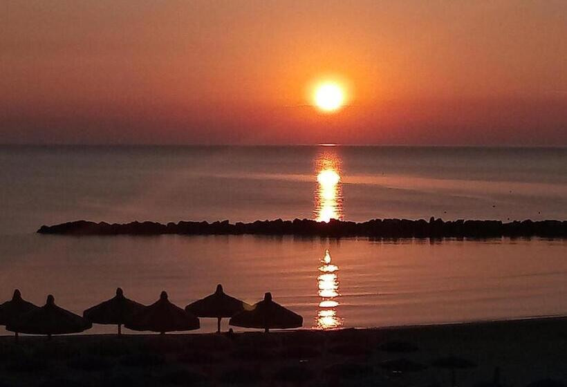 Appartamento Alba Rosa