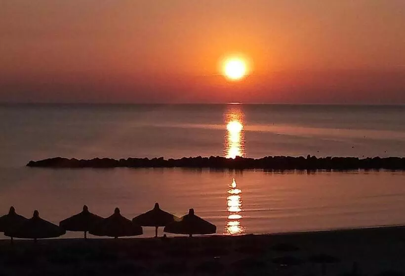 Appartamento Alba Rosa