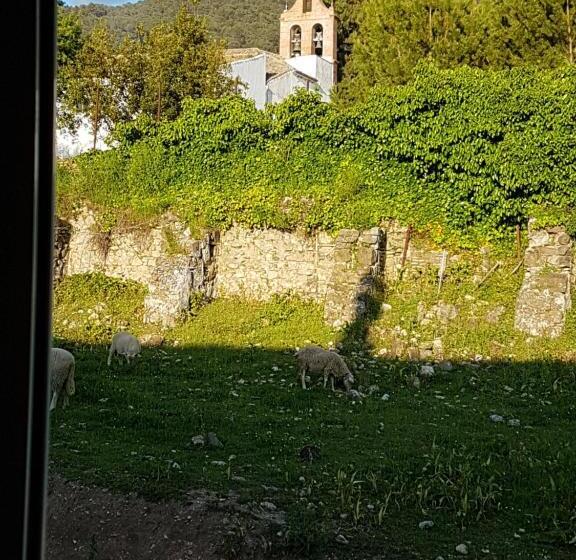 El Sueño Del Bosque