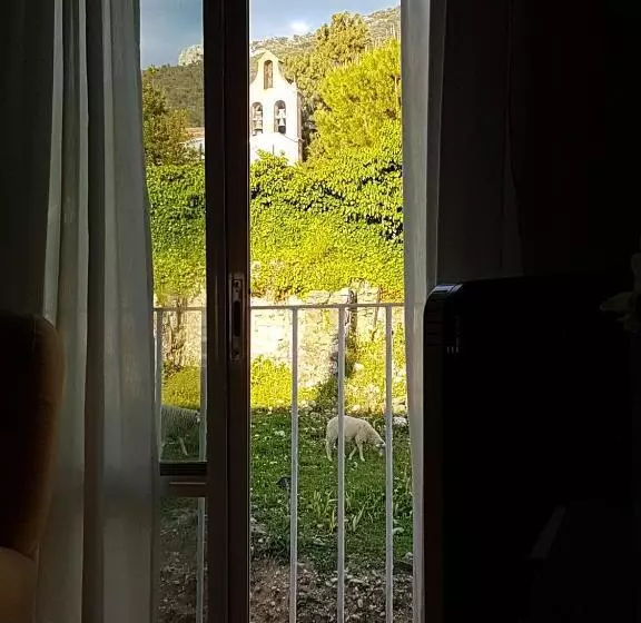 El Sueño Del Bosque