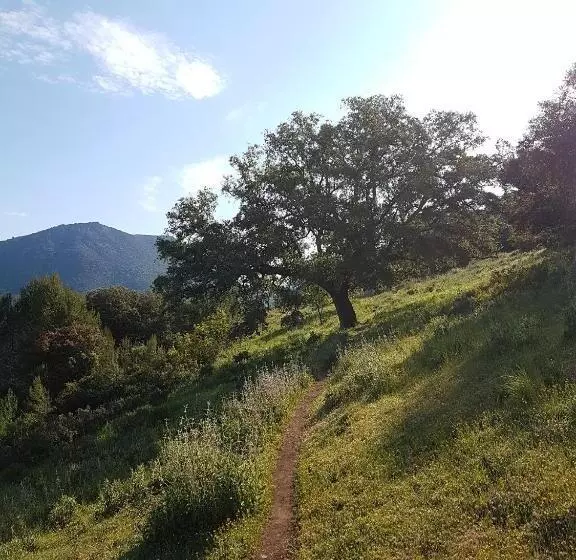 El Sueño Del Bosque