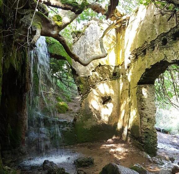 El Sueño Del Bosque