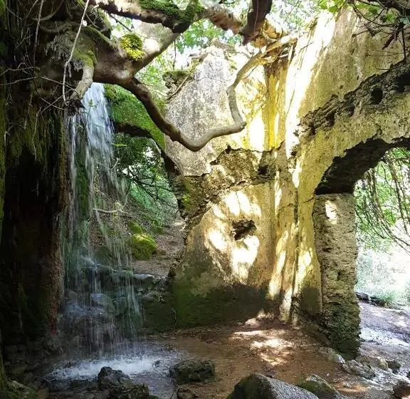 El Sueño Del Bosque