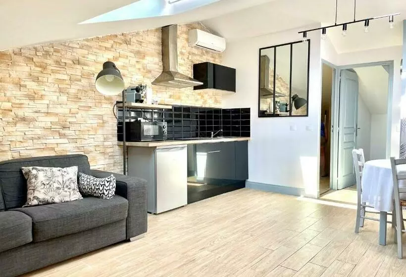 Safari Apartment In Heart Of Cannes And Beaches