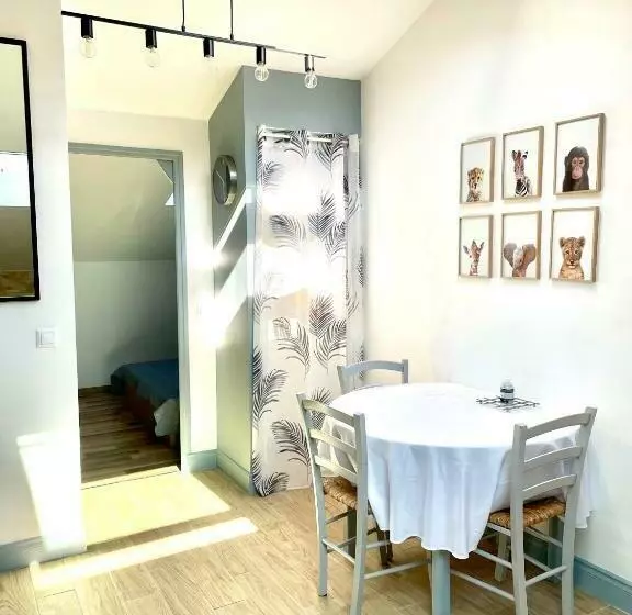 Safari Apartment In Heart Of Cannes And Beaches