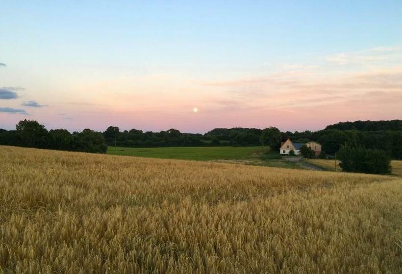 Holiday Apartment Sternhoh