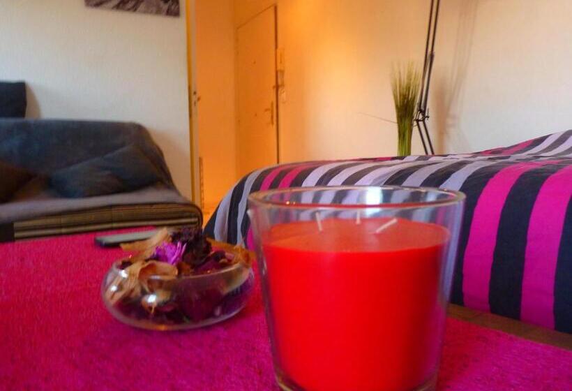 Studio Cagnes Sur Mer