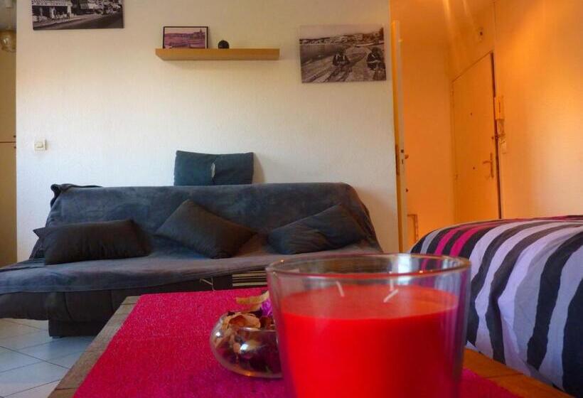 Studio Cagnes Sur Mer