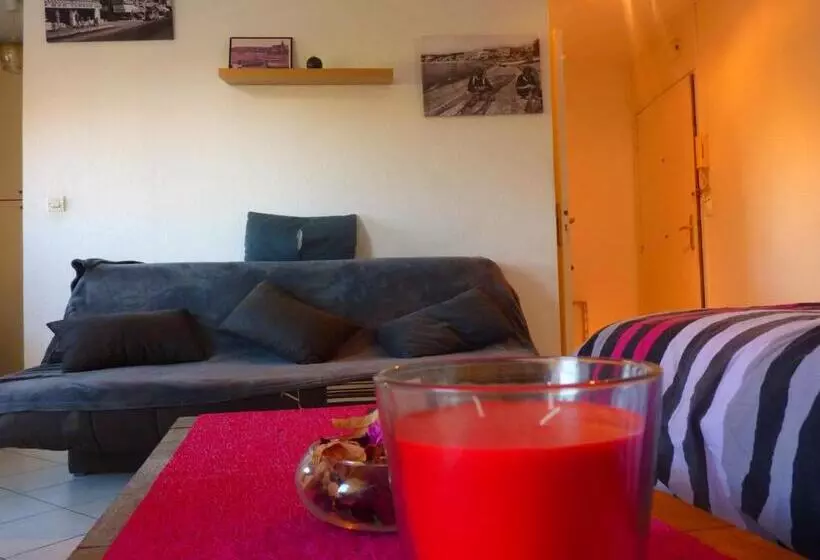 Studio Cagnes Sur Mer