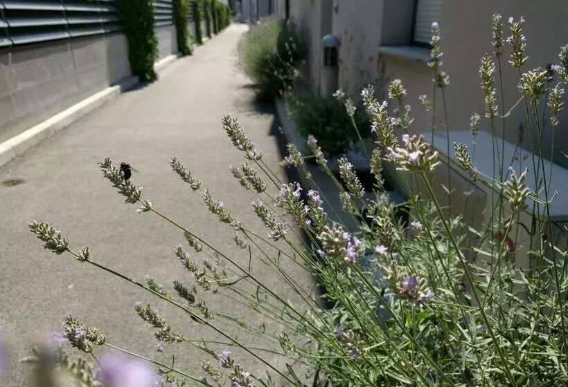 Jan S Place At Seaside