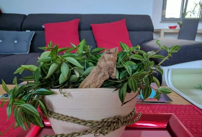 Jan S Place At Seaside