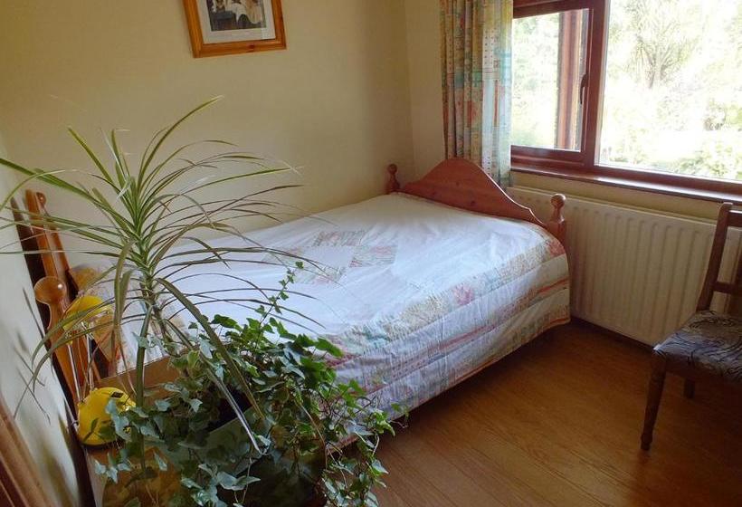 مبيت وإفطار The Burn