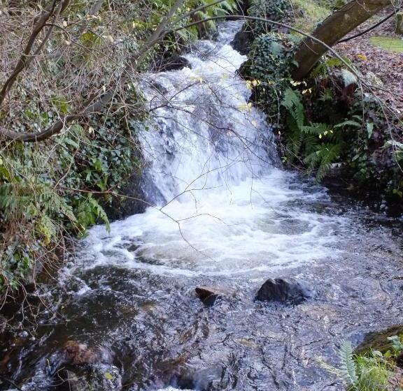 مبيت وإفطار The Burn