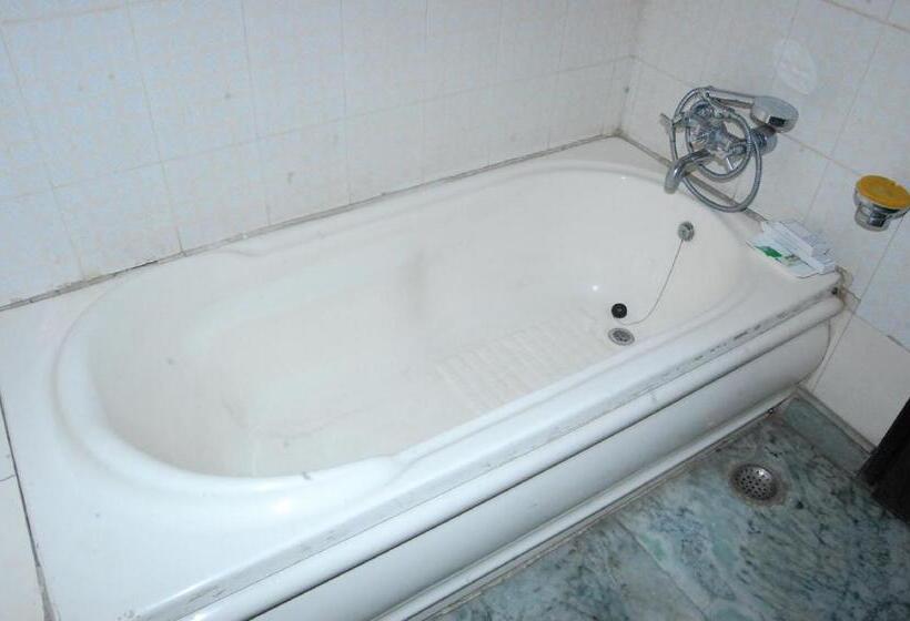 Airport Hotel The R Blues New Delhi