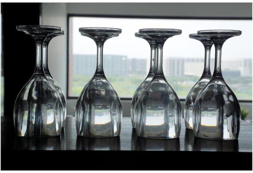 Airport Hotel The R Blues New Delhi