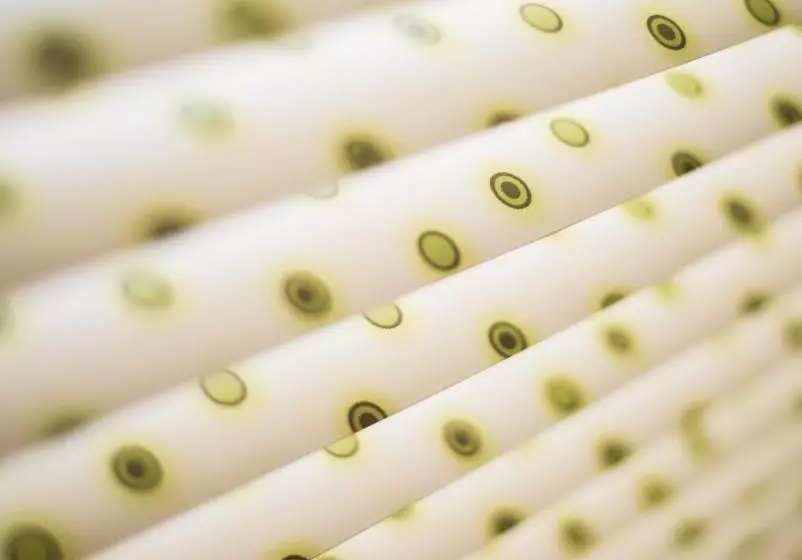 Hotel La Goélette, Chambres D'hôtes