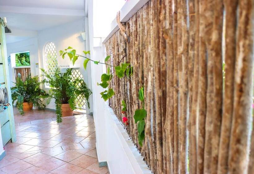 هتل Ocean Point Beach Resort & Spa Adults Only