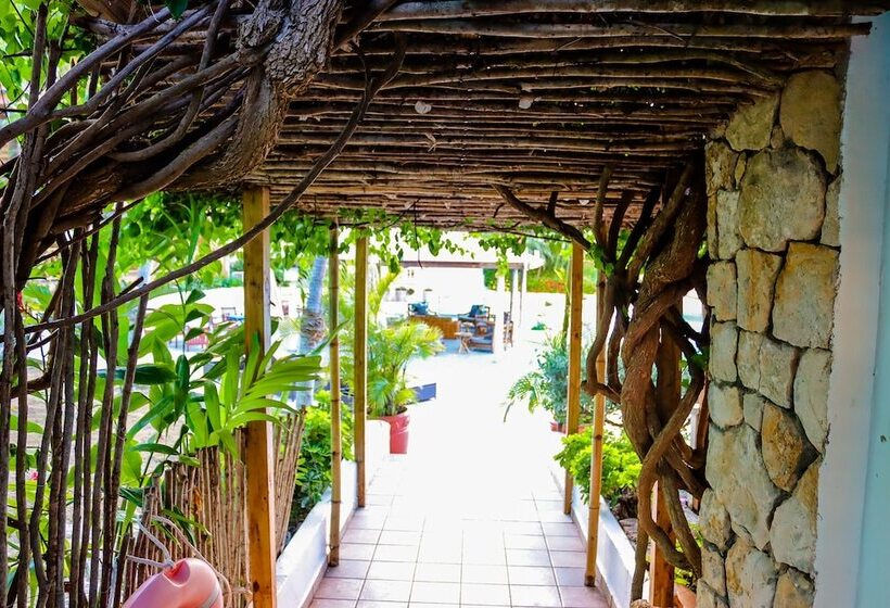 هتل Ocean Point Beach Resort & Spa Adults Only