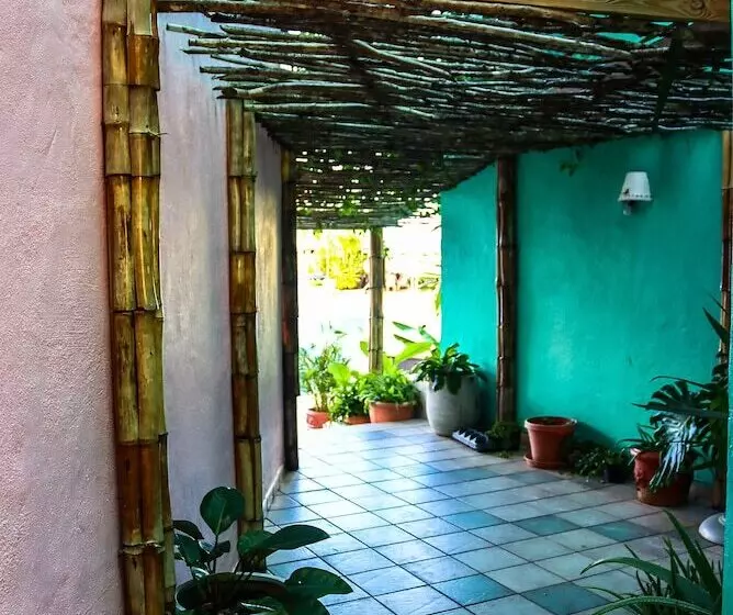 هتل Ocean Point Beach Resort & Spa Adults Only