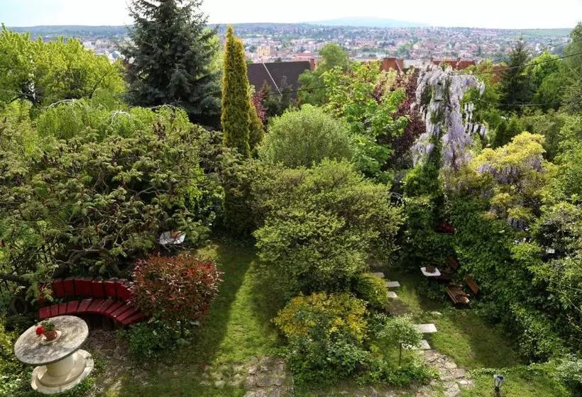 호텔 Panorama Panzio