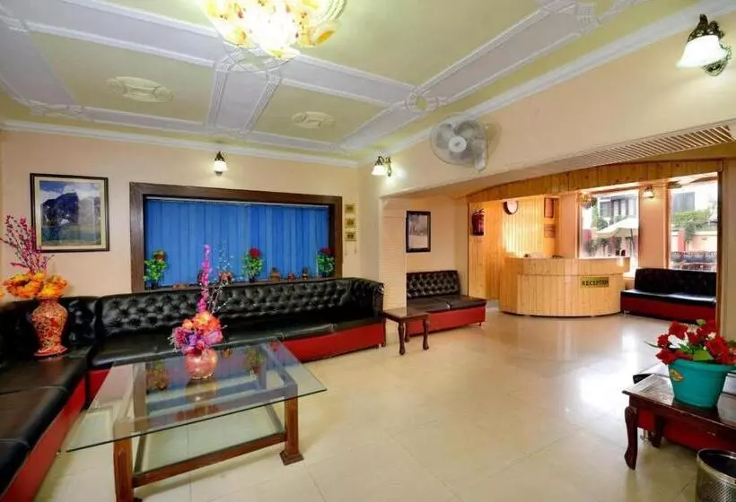 ホテル Star Of Kashmir