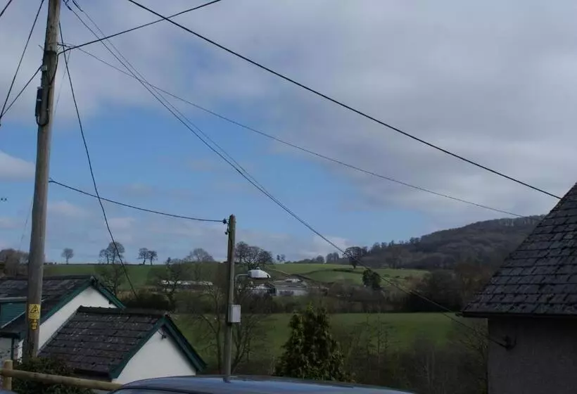 Отель The Old Black Lion