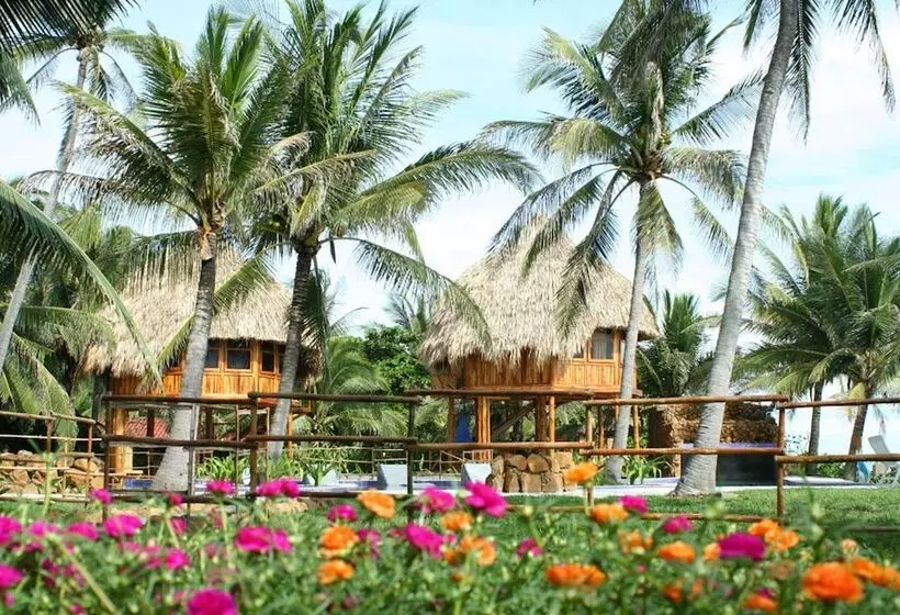 هتل Tortuga Village