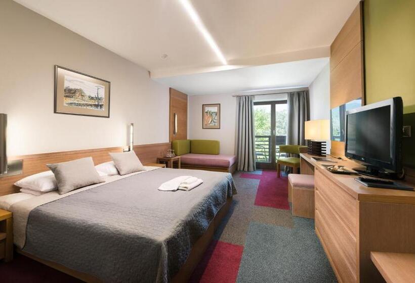 Отель Visegrád