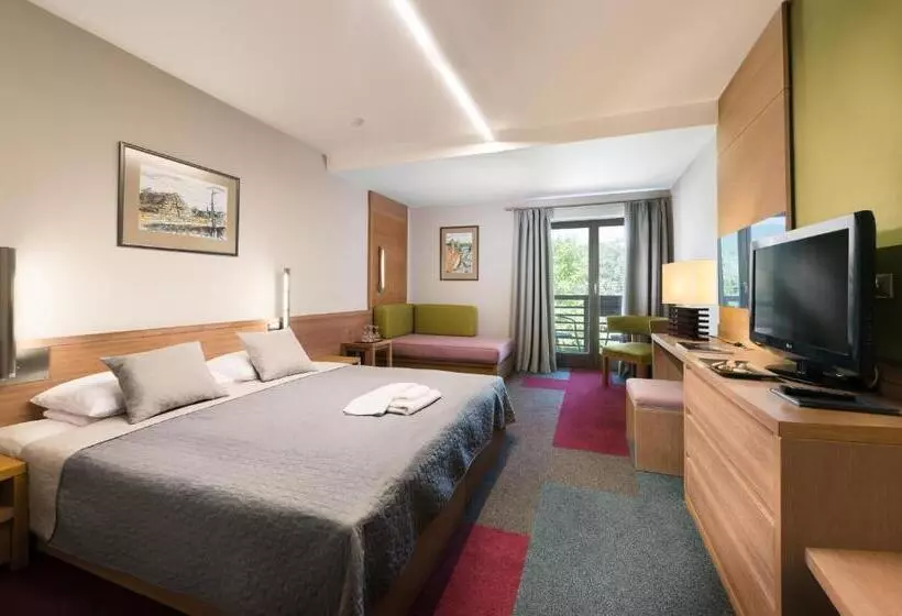 Отель Visegrád