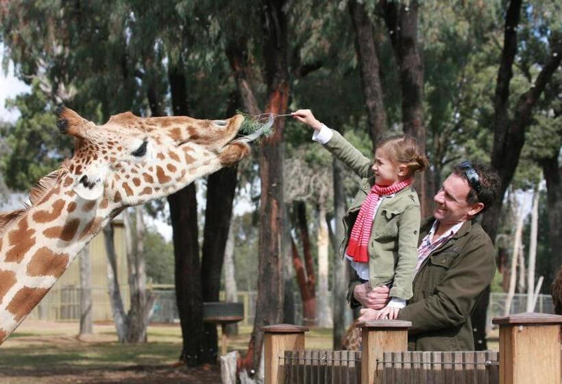 فندق على الطريق The Palms Dubbo