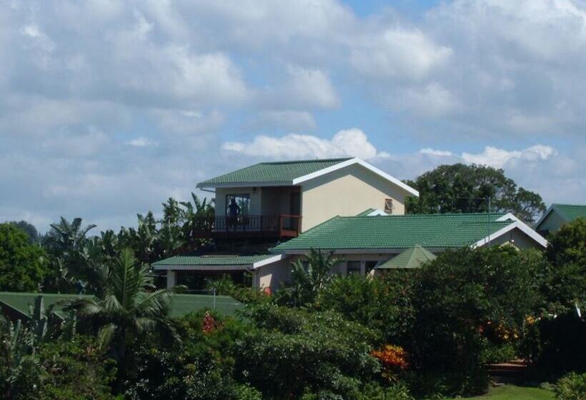 פנסיון Zuider Zee Guest House