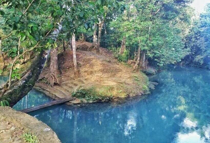 酒店 Avisha Suites